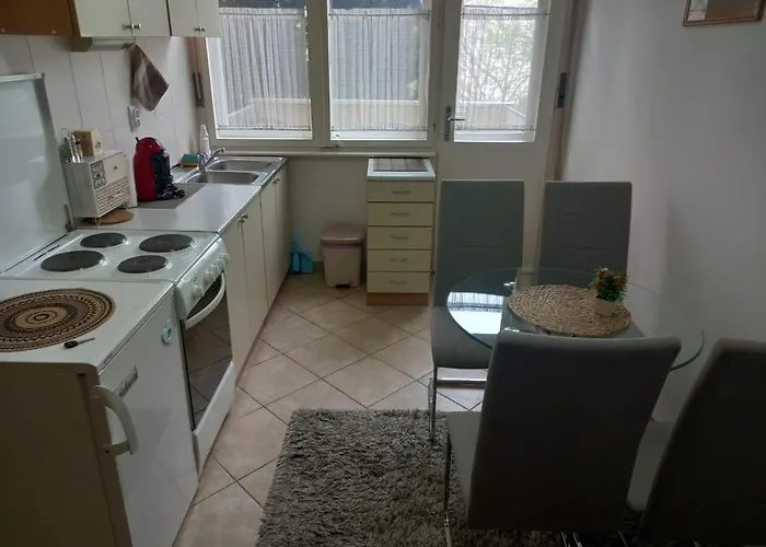 Apartament Stan U Centru *